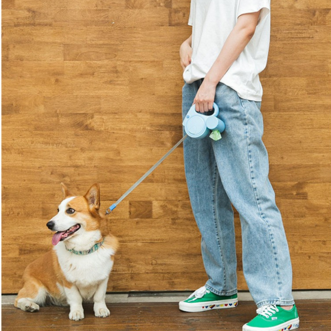 FlexiLite – 5m Hundeleine mit LED & Kotbeutel